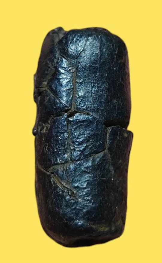 305629 ตะกรุดหนังเสือพอกครั่ง หลวงพ่อทองสุข พุทธศักราช 2485-2500 วัดโตนดหลวง จ.เพรชบุรี