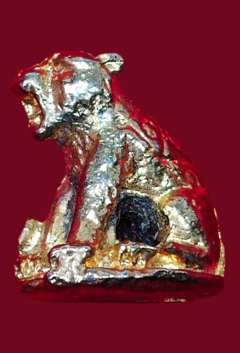 307227 เสือมหาอำนาจ ล.พ.กวย  เนื้อตะกั่วอาบทอง  พุทธศักราช 2519  วัดโฆสิตาราม(บ้านแค)  จ.ชัยนาท 