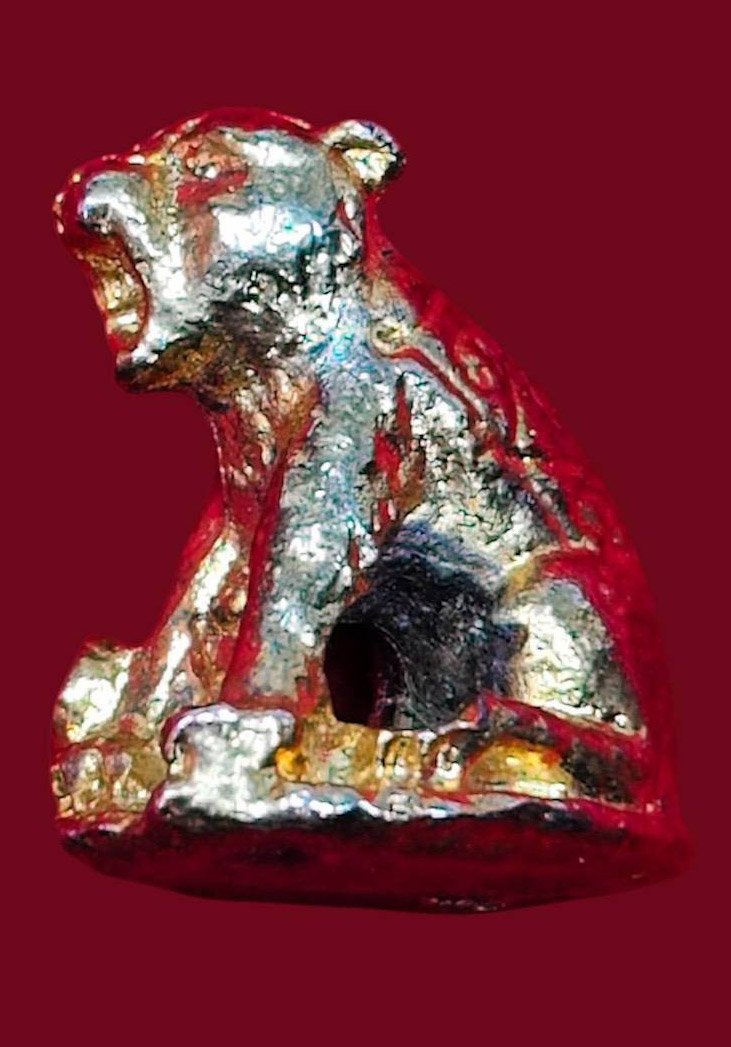 307228 เสือมหาอำนาจ ล.พ.กวย  เนื้อตะกั่วอาบทอง  พุทธศักราช 2519  วัดโฆสิตาราม(บ้านแค)  จ.ชัยนาท 