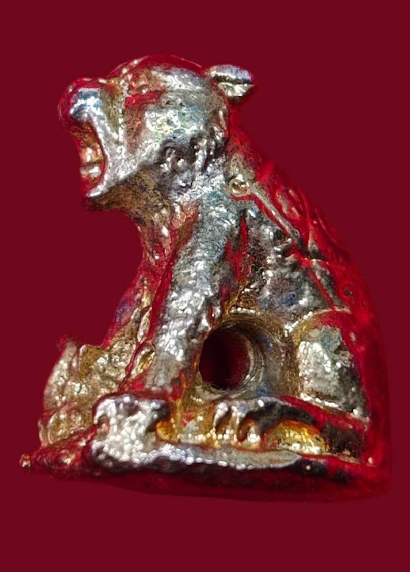 307229 เสือมหาอำนาจ ล.พ.กวย  เนื้อตะกั่วอาบทอง  พุทธศักราช 2519  วัดโฆสิตาราม(บ้านแค)  จ.ชัยนาท 