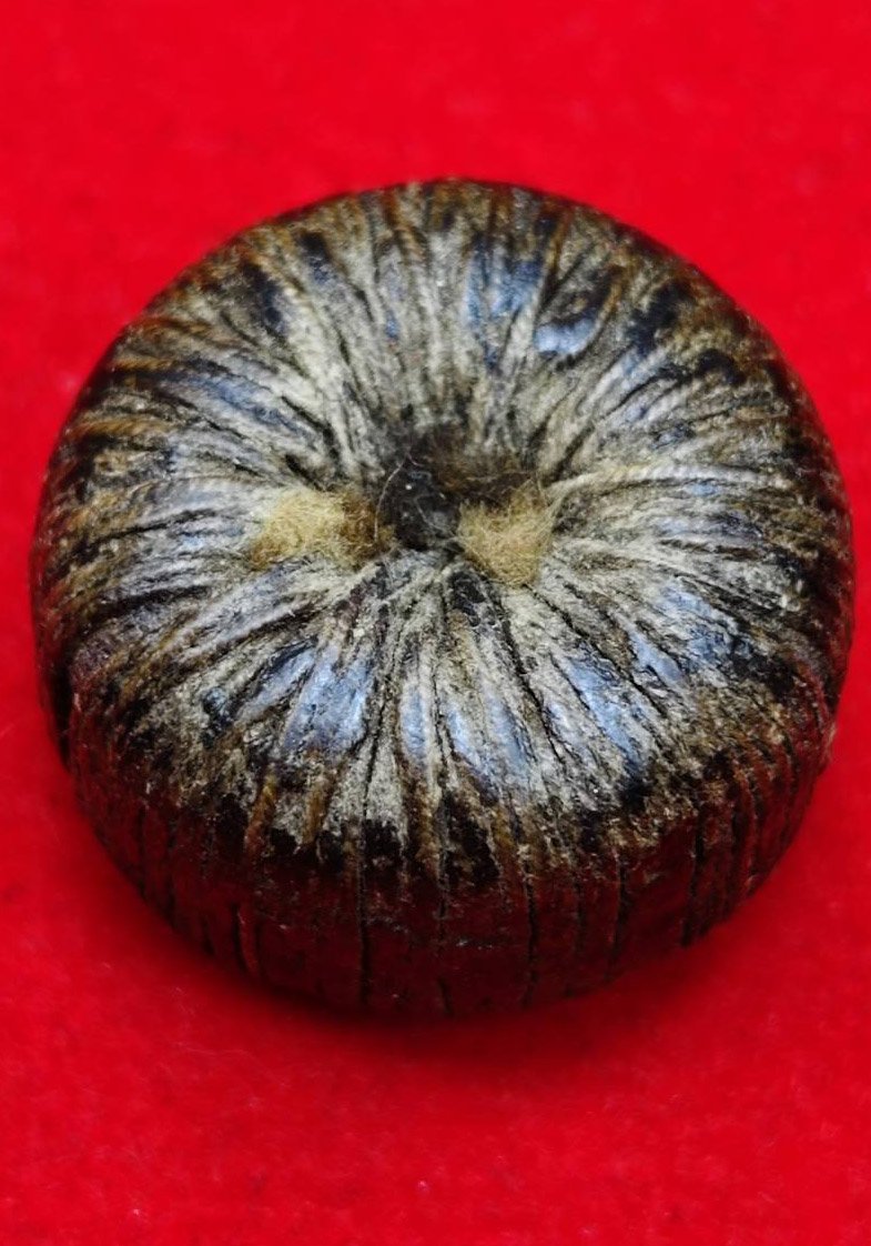 306547 ตะกรุดพิสมร ใบลานบังปืน  หลวงพ่อแก้ววัดพวงมาลัย  เนื้อใบลาน  สร้างปี 2453-2460  จ.สมุทรสงคราม 