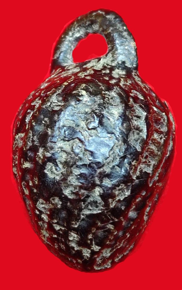 306549 หมากทุยหลวงปู่เอี่ยม  วัดหนังราชวรวิหาร  เนื้อหมาก  สร้างปี 2443-2469  จ.กรุงเทพมหานคร 