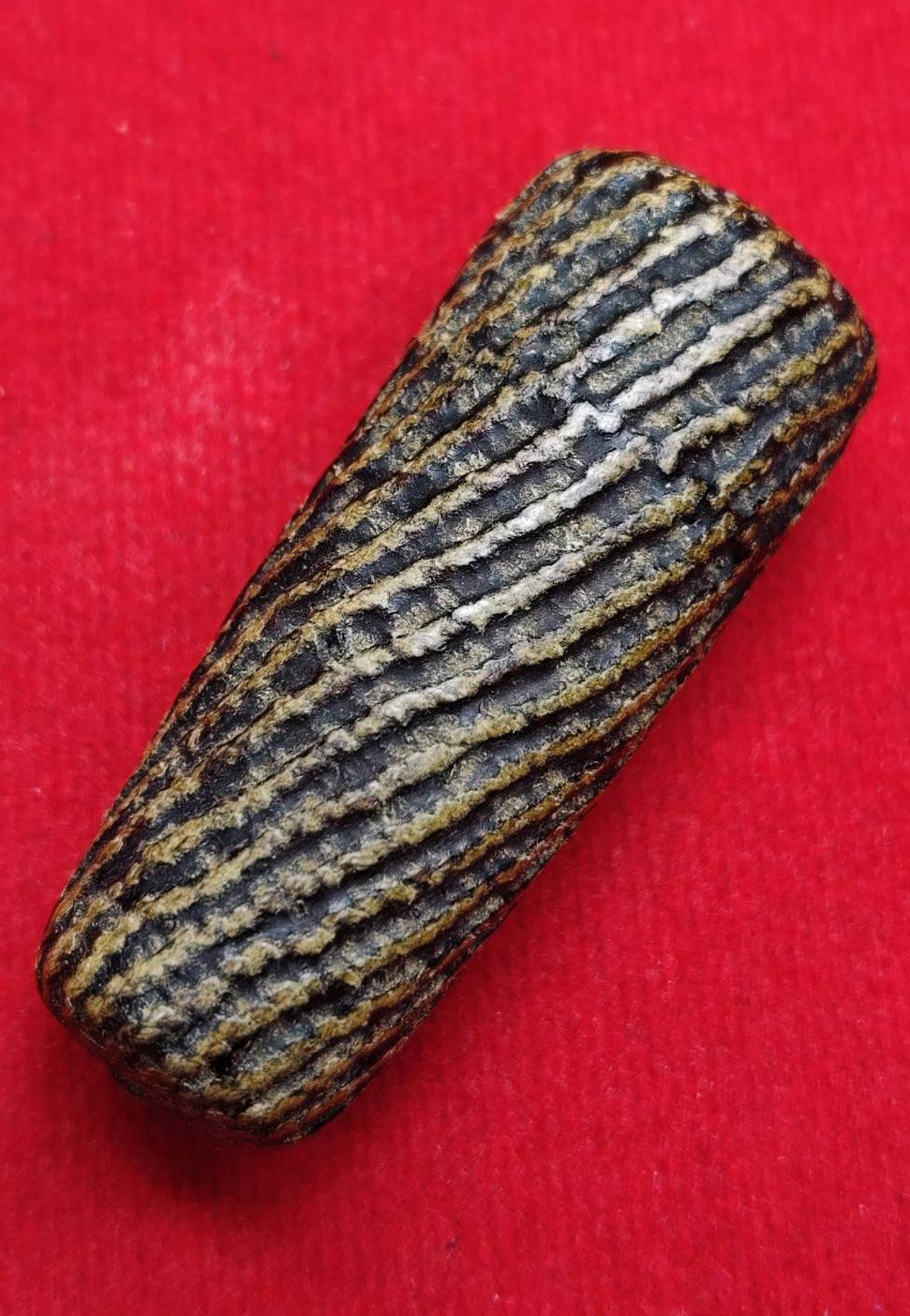 306614 ตะกรุดไม้ครู (นิ้วเพชรพระอิศวร)  หลวงปู่ภู่ (ยุคปลาย) เนื้อไม้  ถักเชือกลงรัก  พ.ศ.2470-2476 วัดอินทร์ จ.กรุงเทพฯ