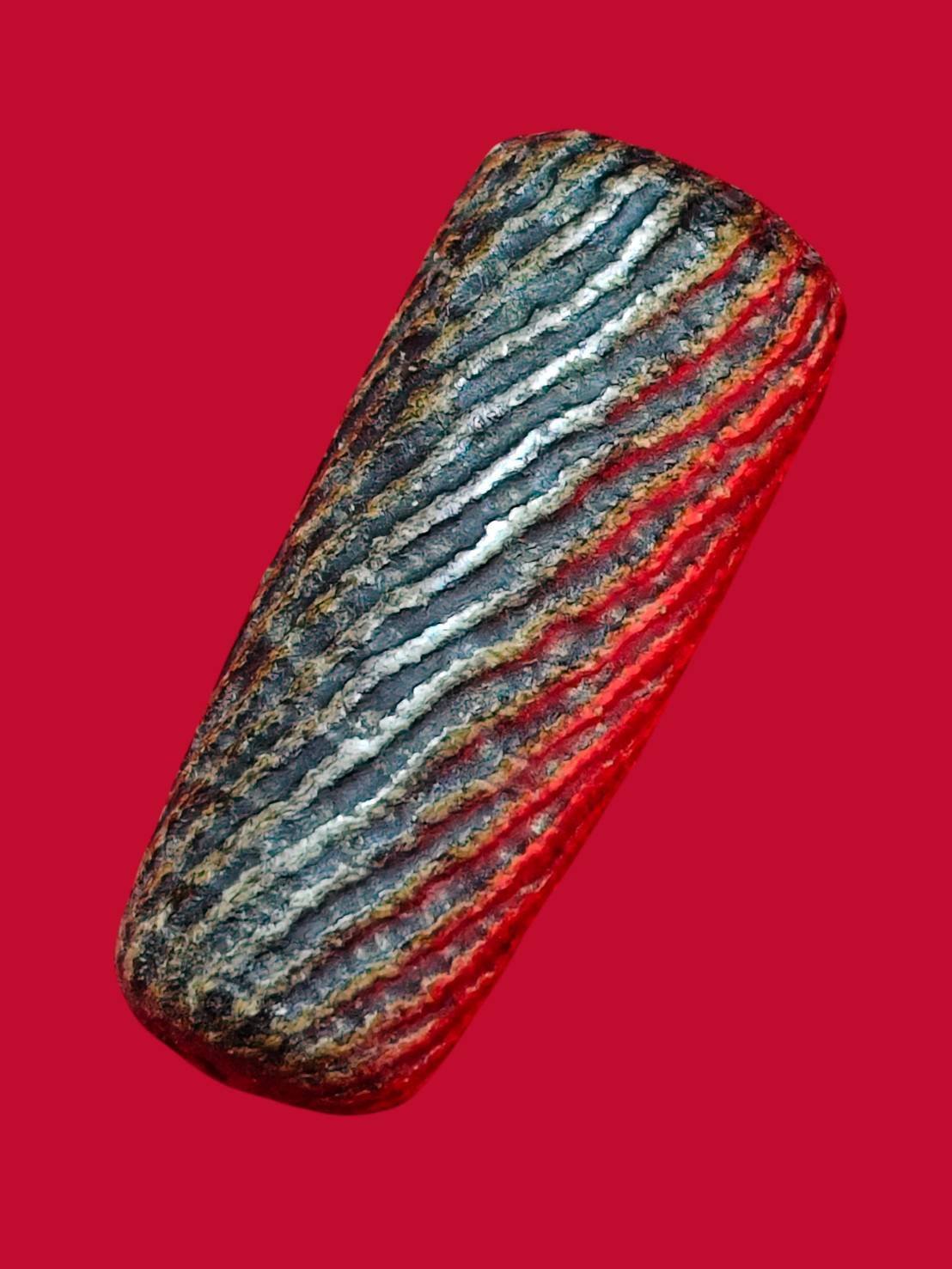 306911 ตะกรุดไม้ครู หลวงปู่ภู (นิ้วเพชรพระอิศวร)   เนื้อไม้ ถักเชือกลงรัก  พ.ศ. 2470-2476  (ยุคปลาย) วัดอินทร์ กทม.