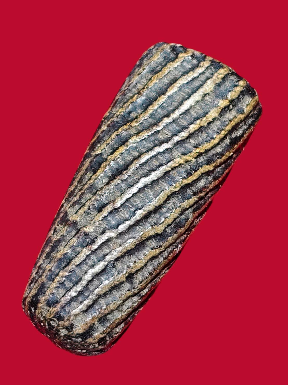 306913 ตะกรุดไม้ครู หลวงปู่ภู (นิ้วเพชรพระอิศวร)   เนื้อไม้ ถักเชือกลงรัก  พ.ศ. 2470-2476  (ยุคปลาย) วัดอินทร์ กทม.