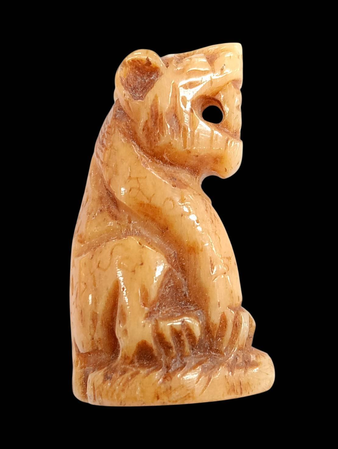 306979 เขี้ยวเสือแกะ หลวงพ่อคง วัดวังสรรพรส ประมาณพ.ศ. 2500-2529 เนื้อเขี้ยวเสือแกะ จ.จันทบุรี