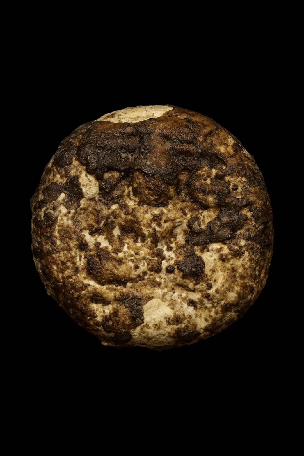 299113 พระจันทร์ลอย  กรุวัดคู้สลอด ปี 2460 เนื้อผง  จังหวัดอยุธยา