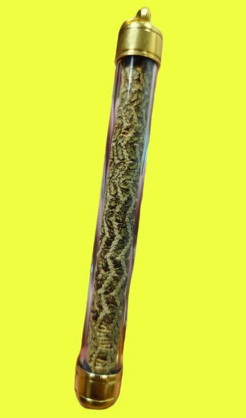 302224 ตะกรุดจันทร์เพ็ญ หลวงปู่ศุข พ.ศ 2440-2466 วัดปากคลองมะขามเฒ่า จ.ชัยนาท