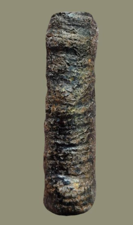 302898 ตะกรุดหนังหน้าผากเสือ หลวงปู่บุญ พุทธศักราช2440-2460 วัดกลางบางแก้ว จ.นครปฐม