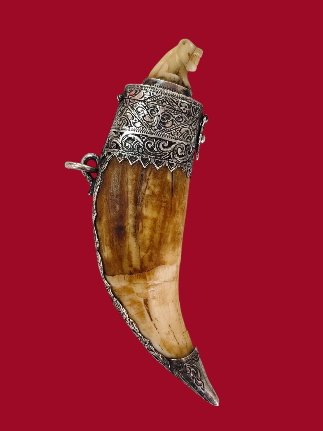 307329 เขี้ยวเสือกลวง พ่อปาน  เนื้อเขี้ยวเสือ  ตะกรุดทองแดงและแผ่นทองคำ พุทธศักราช 2420 - 2453  วัดมงคลโคธาวาส (วัดบางเหี้ย)