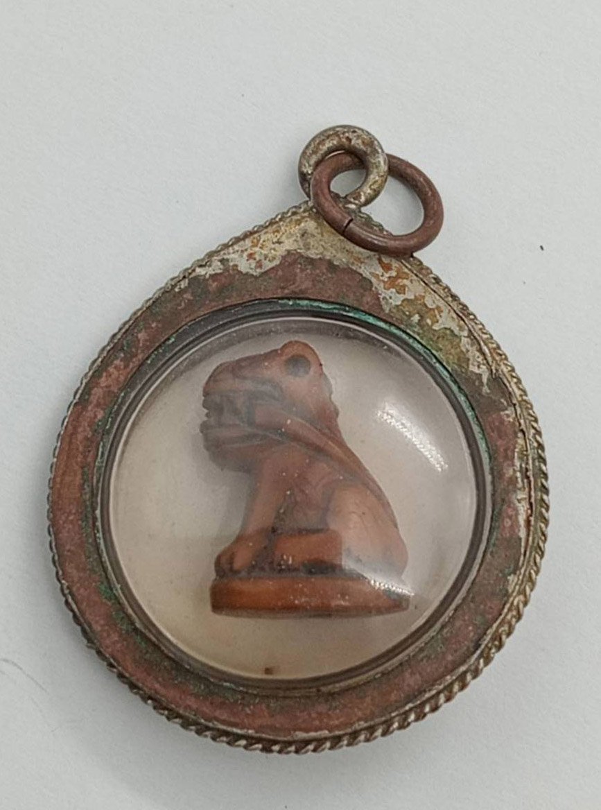 303099 เขี้ยวเสือแกะ หลวงพ่อสาย  ปี 2500 - 2519  วัดมงคลโคธาวาส (บางเหี้ย)   จ.สมุทรปราการ 