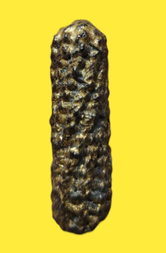 303173 ตะกรุดหนังเสือหลวงพ่อเต๋ พุทธศักราช 2480-2520 วัดอรัญญิการาม (วัดสามง่าม) จ.นครปฐม