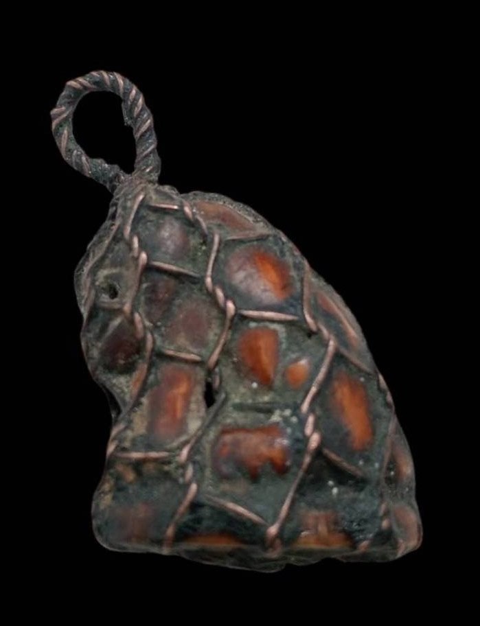 303204 เสือเขี้ยวแกะ หลวงพ่อสาย  ปี 2490 - 2519  เนื้อเขี้ยวเสือ  วัดมงคลโคธาวาส (บางเหี้ย)   จ.สมุทรปราการ 