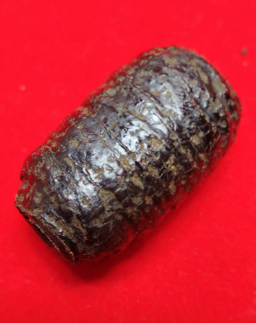 303253 ตะกรุดหนังหน้าผากเสือ  หลวงปู่บุญ  สร้างปี 2470-2477  วัดกลางบางแก้ว  เนื้อหน้าผากเสือ จ.นครปฐม 