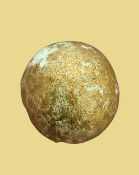 303458 ลูกอมผงพรายกุมาร หลวงปู่ทิม เนื้อบรอนซ์ฝุ่น ปี 2517 วัดละหารไร่ จังหวัดระยอง