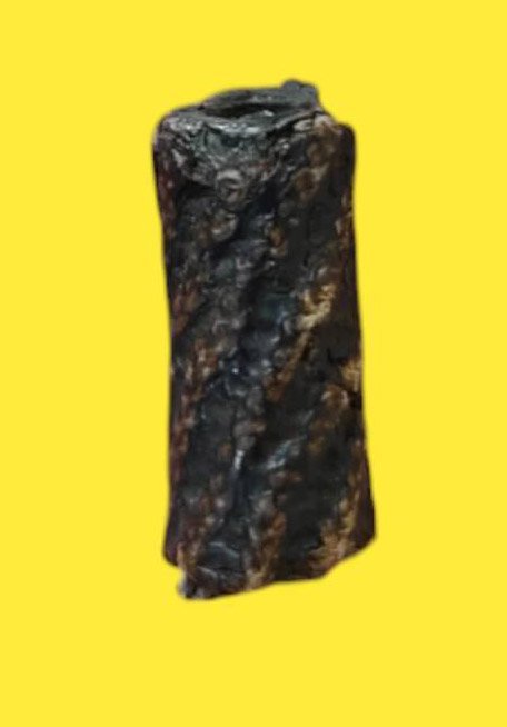 303461 ตะกรุดสาริกาหลวงปู่ศุข พุทธศักราช 2440 -2466 วัดปากคลองมะขามเฒ่า จังหวัดชัยนาท