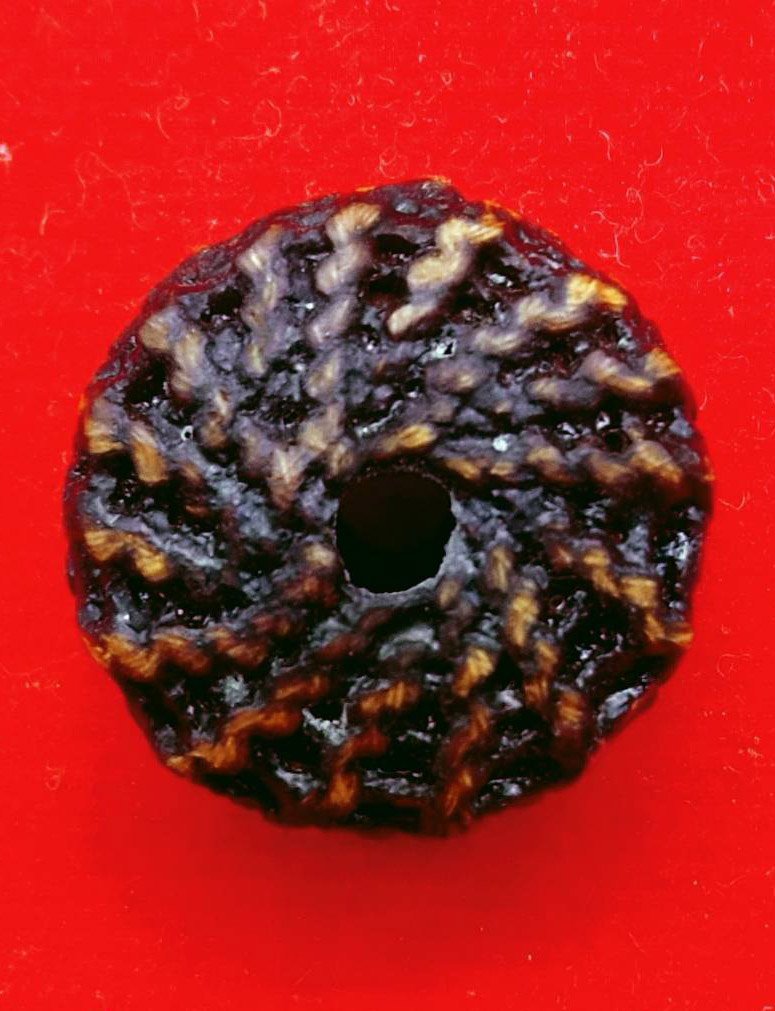 303662 ตะกรุดพิสมร ใบลานบังปืน  หลวงพ่อแก้ววัดพวงมาลัย  เนื้อใบลาน สร้างปี 2453-2460  จ.สมุทรสงคราม 