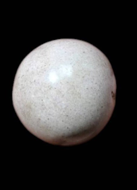 303724 ลูกอมจินดามณี พระปลัดปาน เนื้อผง พุทธศักราช 2400-2415 วัดตุ๊กตา จ.นครปฐม