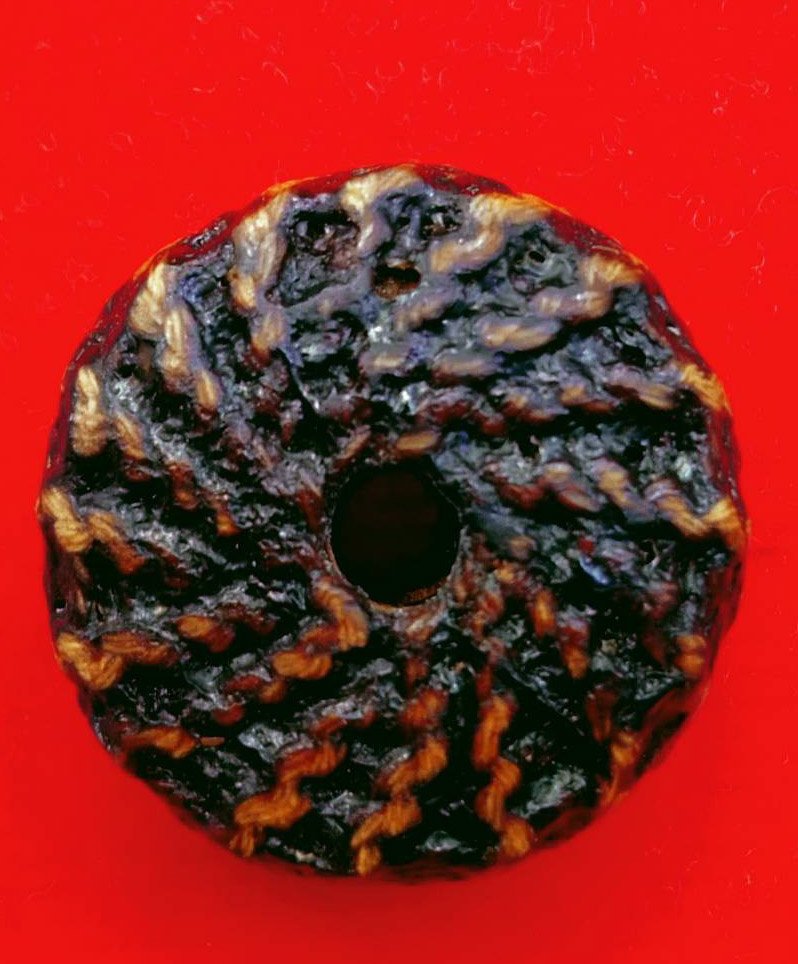 303764 ตะกรุดพิสมร ใบลานบังปืน  หลวงพ่อแก้ววัดพวงมาลัย  เนื้อใบลาน  สร้างปี 2453-2460  จ.สมุทรสงคราม 