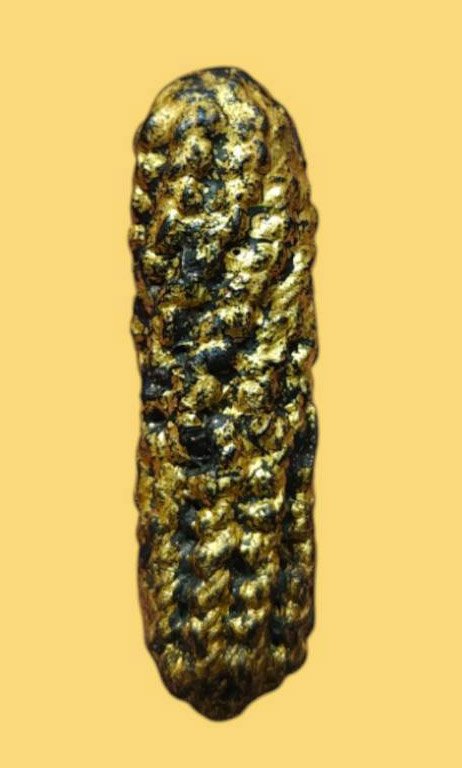 303784 ตะกรุดหนังเสือหลวงพ่อเต๋ พุทธศักราช 2480-2520 วัดอรัญญิการาม (วัดสามง่าม) จ.นครปฐม