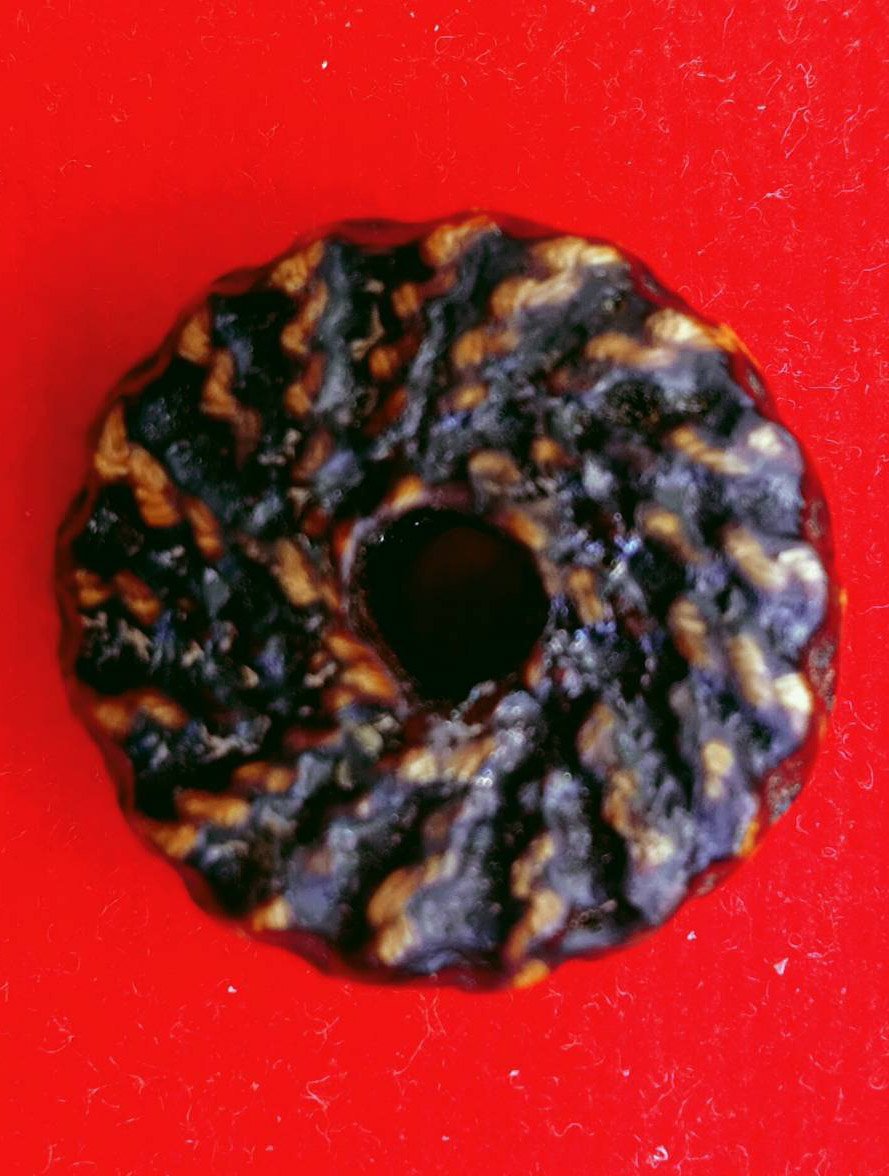 303832 ตะกรุดพิสมร ใบลานบังปืน  หลวงพ่อแก้ว วัดพวงมาลัย  เนื้อใบลาน  สร้างปี 2453 - 2460 จ.สมุทรสงคราม 