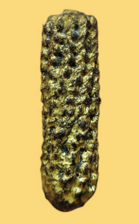 303864 ตะกรุดหนังเสือหลวงพ่อเต๋ พุทธศักราช 2480-2520 วัดอรัญญิการาม (วัดสามง่าม) จ.นครปฐม