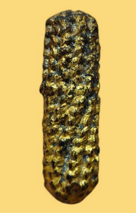 303865 ตะกรุดหนังเสือหลวงพ่อเต๋ พุทธศักราช 2480-2520 วัดอรัญญิการาม (วัดสามง่าม) จ.นครปฐม